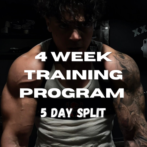 4 Week Training Program