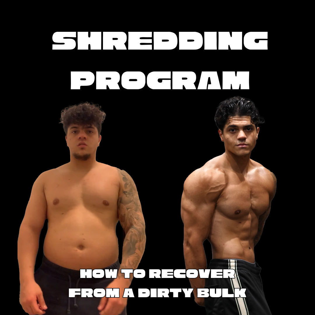 Shredding Program (How to Recover from a dirty bulk)